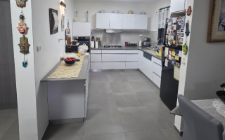 צילום מסך 2026-02-24 154139